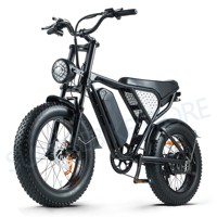 RIDSTAR Q20MINI Electric Bicycle 48V 15AH Fat Tire EBike 20 Inch Electric Mountainbike 45KM/H PEAK 1000W Moped-Styled Ebike