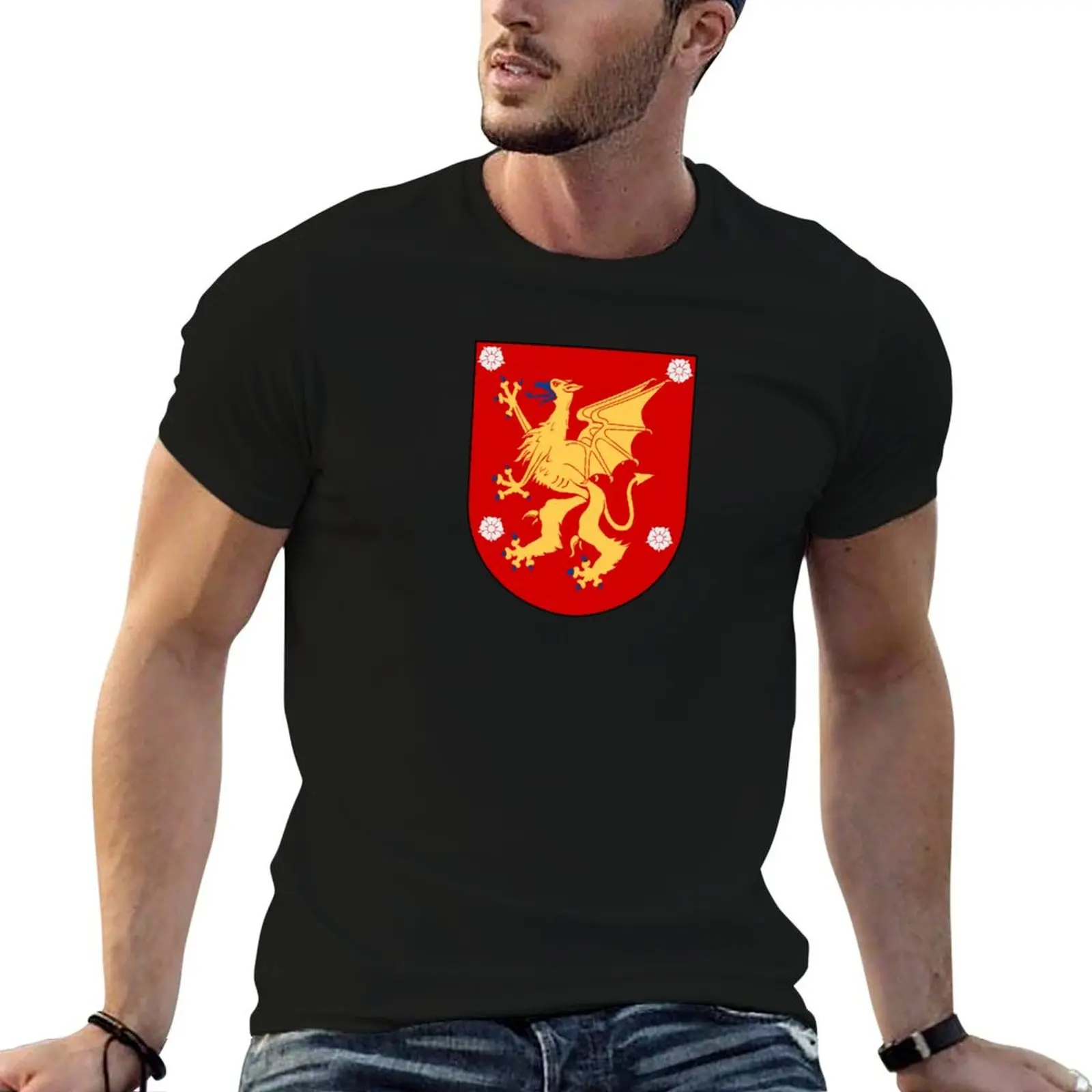 ?sterg?tland coat of arms, Sweden T-Shirt oversized t shirt oversizeds men clothing