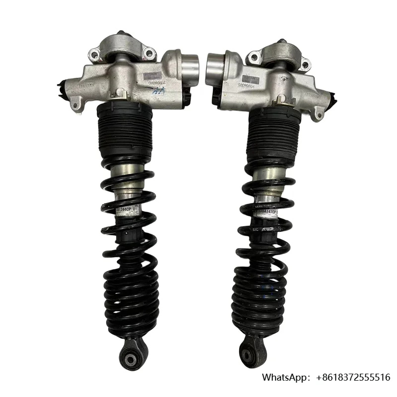 

daNose Lift,Front Suspension Strut Shock Absorber for Mclaren 540C,570S,13B1245CP,13B1244CP