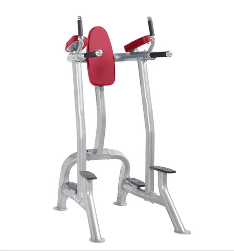 

Commercial Gym Equipment Vertical Knee Chin-up Raise Dip Machine for Bodybuilding Strength Training