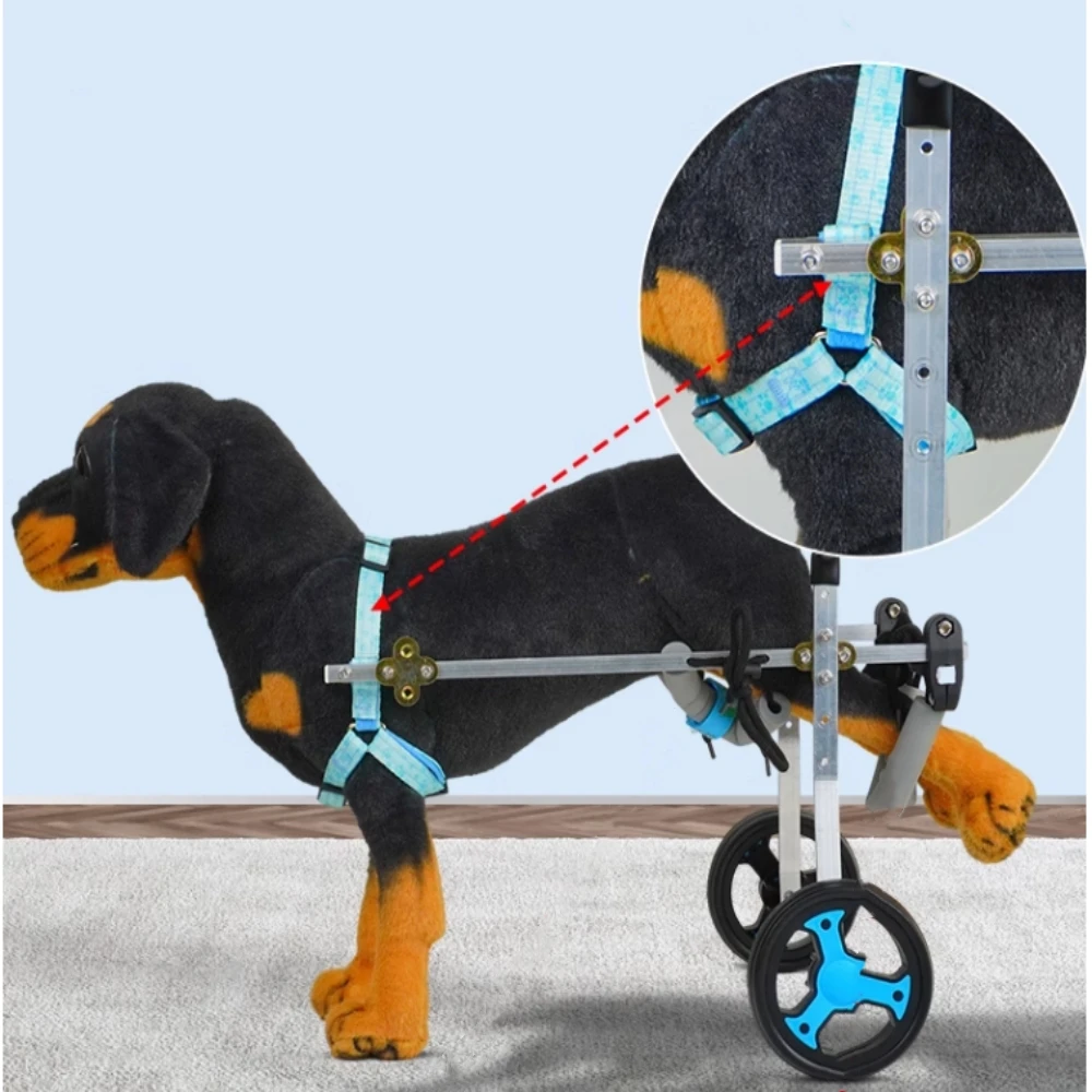 Imagem -06 - Adjustable Dog Back Legs Training Wheelchair Pet Cadeira de Rodas Reabilitação Deficiência Acessórios Auxiliares Pequeno Médio