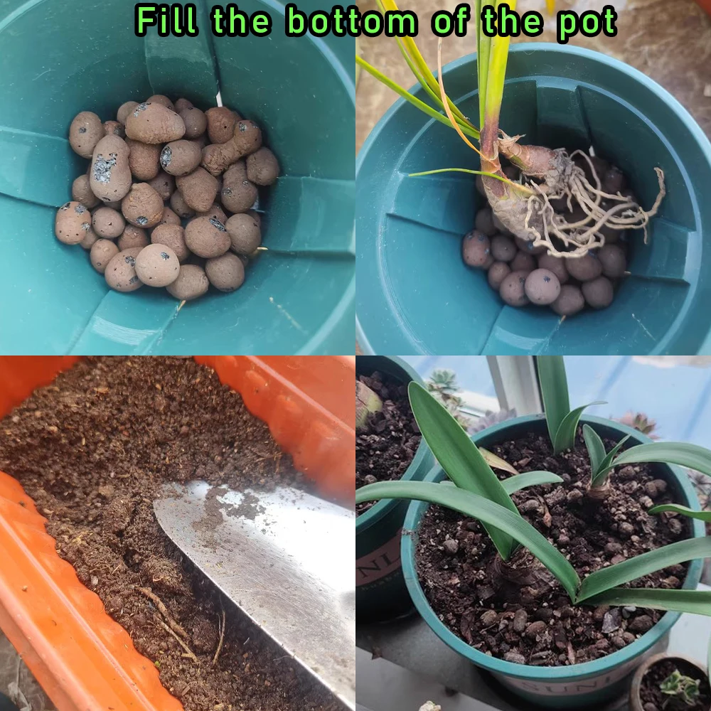 50g Ceramsite Gardening Ceramic granules Bonsai Decoration Materials Place The Bottom Of The Flowerpot Configure the soil - Image 3