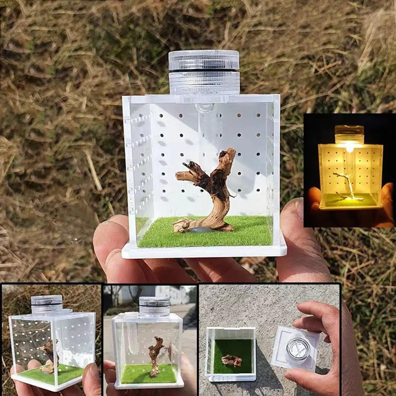 Terrario transparente para arañas saltadoras, tanque para ranas, jaula de cría con luz y humidificador, recinto para reptiles, tanque para árboles pequeños
