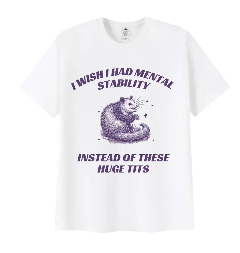 Funny I Wish I Had Mental Stability Racoon Meme T Shirts Men Women's Casual High Quality Oversized Cotton T-shirt Harajuku Tops