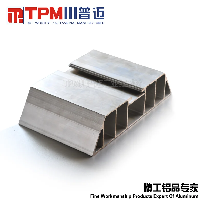 شركة الألومنيوم التخصيص في الصين نظام الإطار البثق ملف بنتوء من الألومنيوم لجدار الستار #6