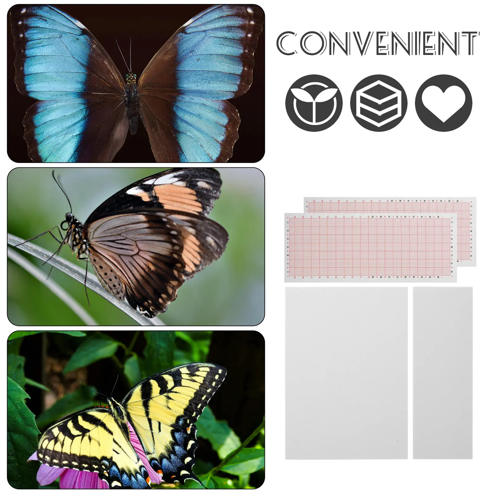 Specimen Pinning Board Butterfly Spreading Board High Density Eva Adjustable Spacing Specimen Display Platform Butterfly Pinning