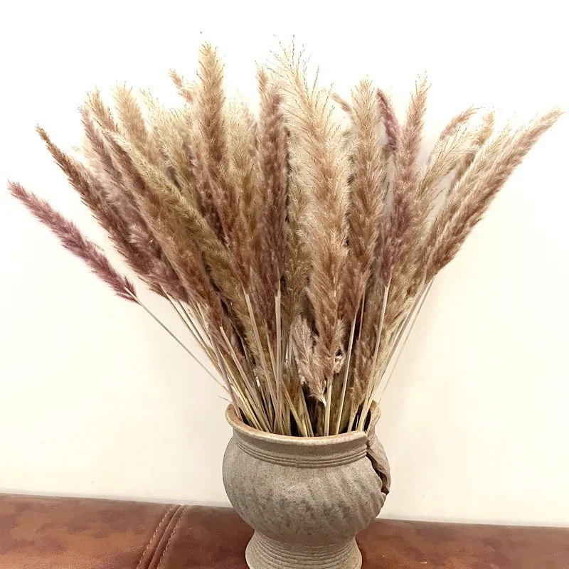 

15PCS Natural pampas decoracion boho party Dried Reed Flower Arrangement for Backdrops Wedding Supplies Modern Home Office