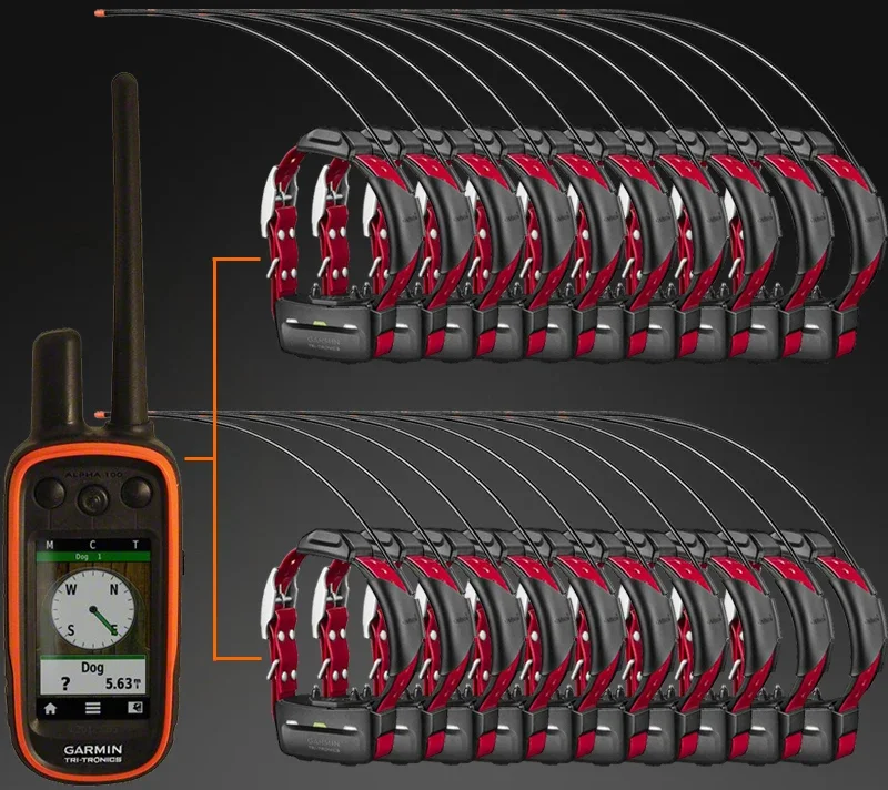 Second -hand is not brand new hound Hound Tracker GPS Positioning Garmin Alpha 100 Alpha  TT15 Collar