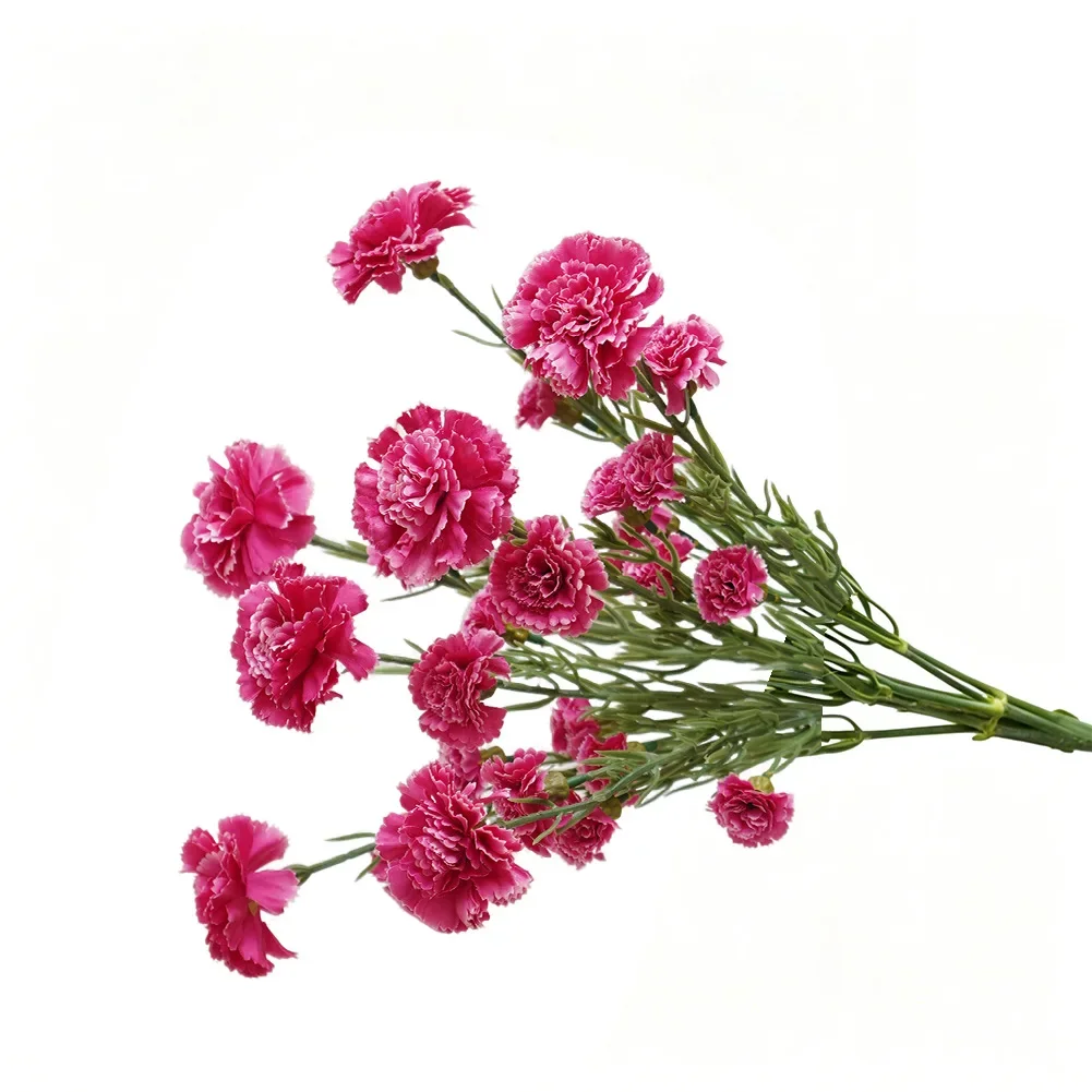 Artificial Carnations In Silk Material With Bendable Stems For Creative Floral Crafts And Educational Display Use