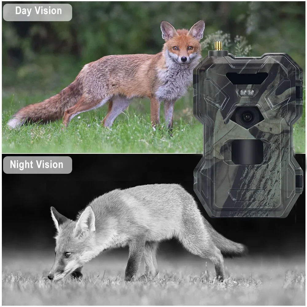 HC-880Pro 4G Wildkamera 30MP 2K Auflösung Nachtsicht Jagd- und Wildtier-Überwachungskamera 120 Grad Sichtfeld – Detail 4