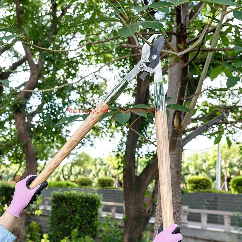 Horticulture Thick Branch Shears Pruning Fruit Tree Strong Shears Long Handle Labor-saving Garden Special Tools