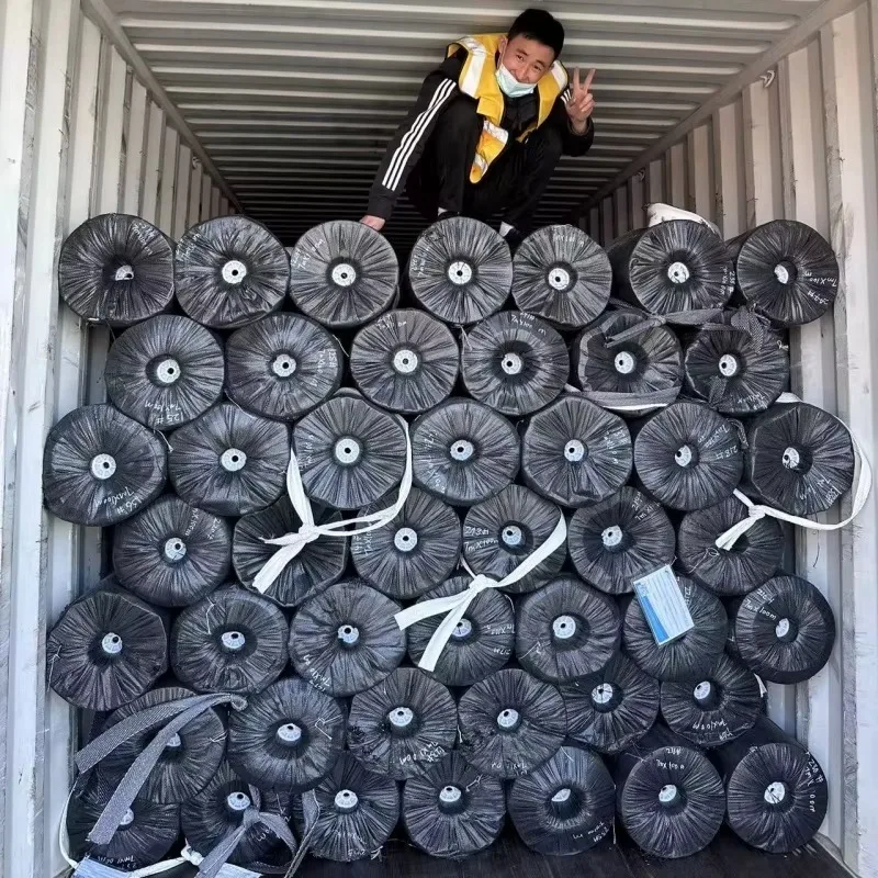 Customized HDPE Geomembrane Waterproof Pond Liner for Reservoir Canal Landfill Mining and Water Storage Projects