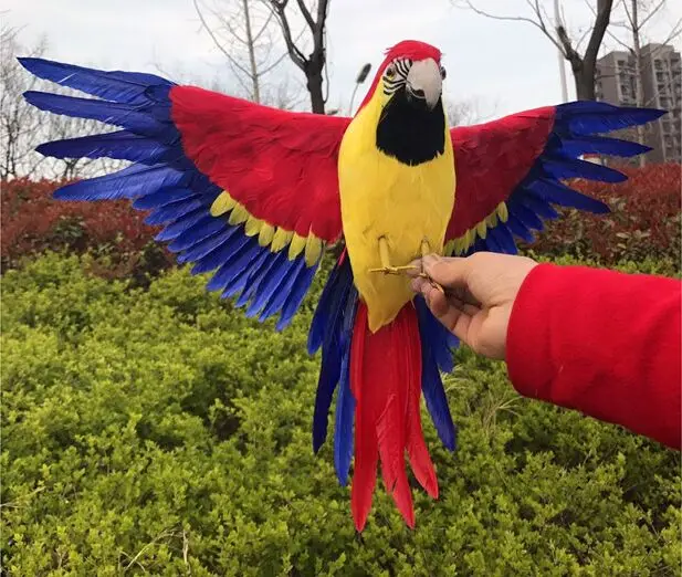 new simulation red&yellow parrot model foam&furs real life wings parrot bird model gift about 40x60cm d0211