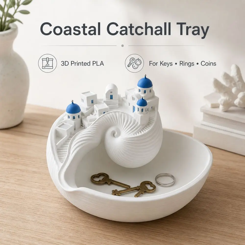 New Conch Shell Shape Catchall Bowl Shelf Display Spiral Divider Conch Shell Storage Box Desktop Decor Shell Key Bowl