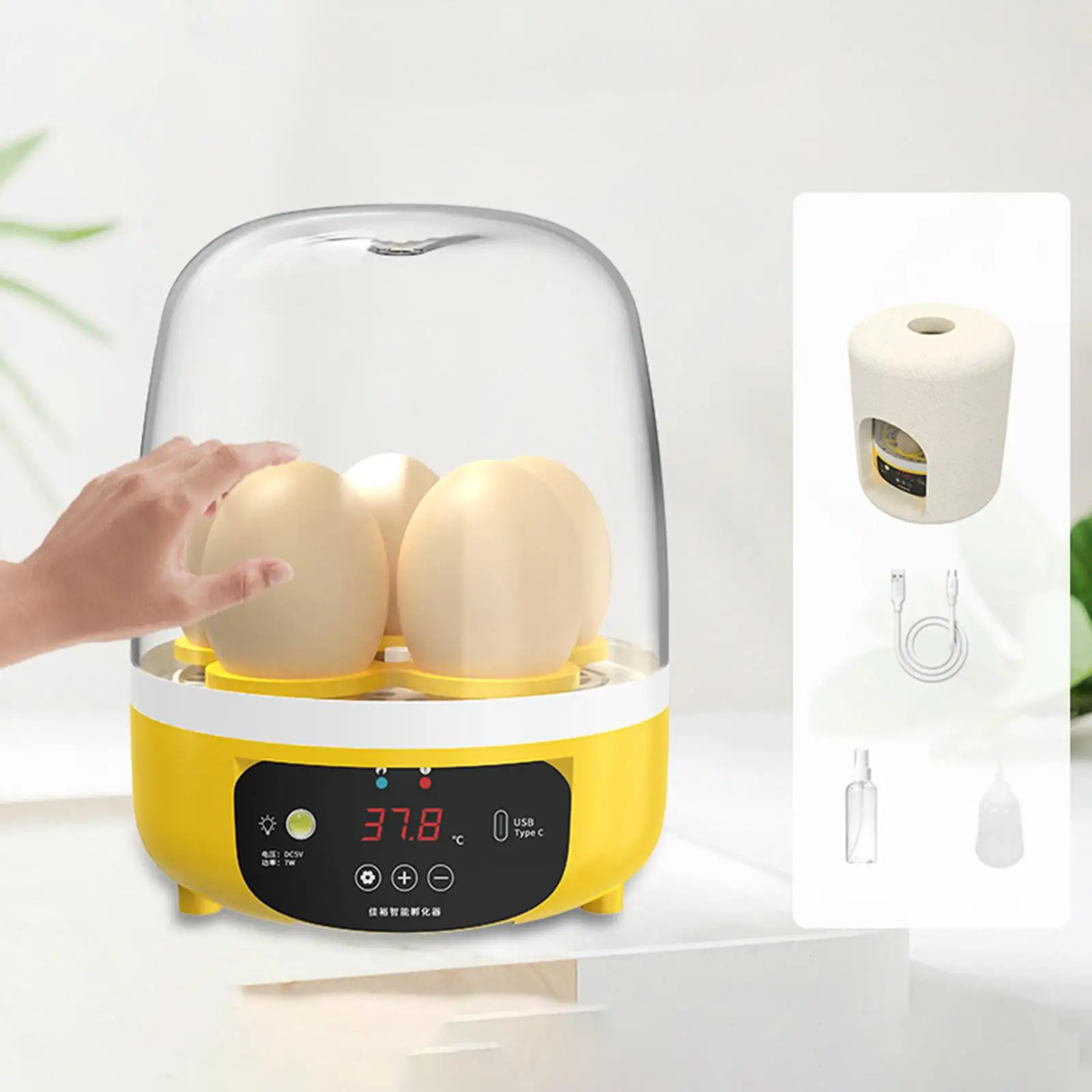 Portable Digital Automatic Egg Incubator Holds 5 Eggs USB Rechargeable LED Light Small Poultry Hatcher for Hatching Pigeon Bird