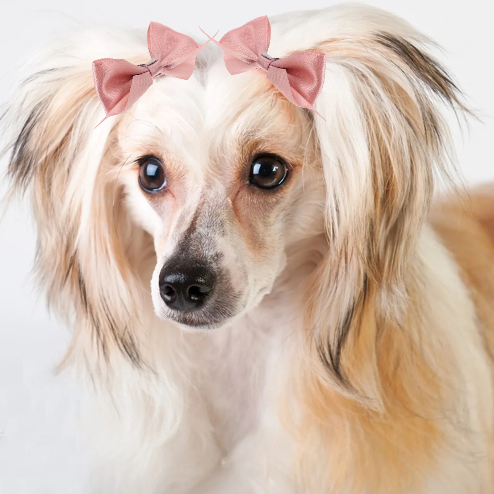 

10Pcs Dog Hair Accessories Cute Elastic Bow Ties Small Dogs Grooming Hair Bands Pet Headwear Decoration