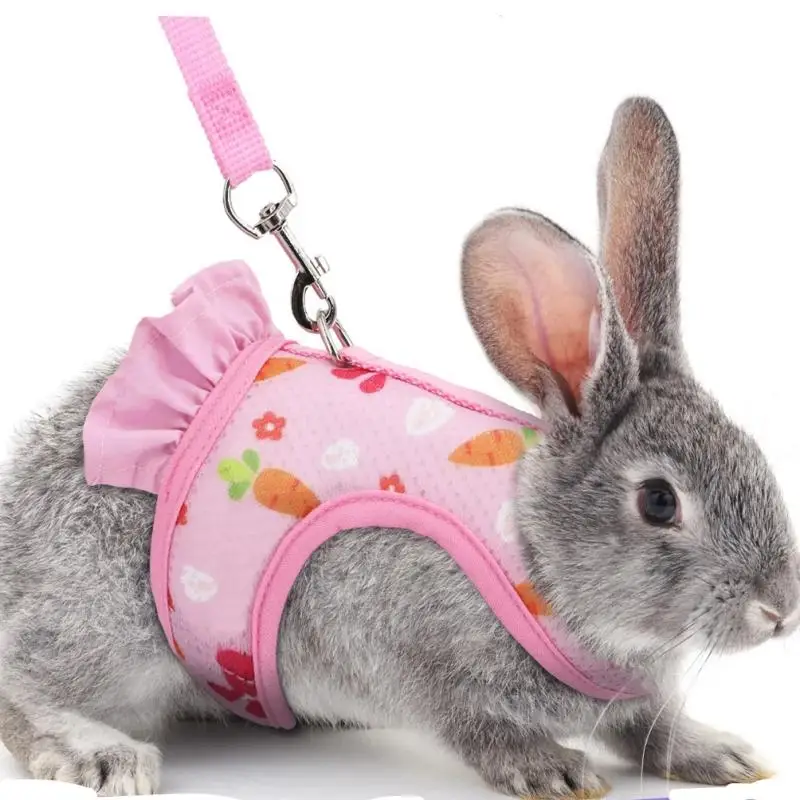 귀여운 조절 가능한 토끼 하네스 야외 목줄 버클 통기성 메쉬 조끼 스커트 토끼 기니피그 소형 애완동물 견인 하네스 슈트