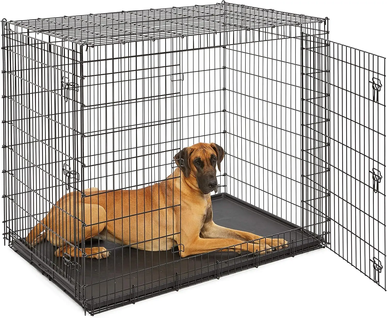 Ginormous Double Door 54-Inch Dog Crate for XXL Dogs Breeds; Great Dane, Mastiff, St. Bernard, Drop Pin Assembly Requires