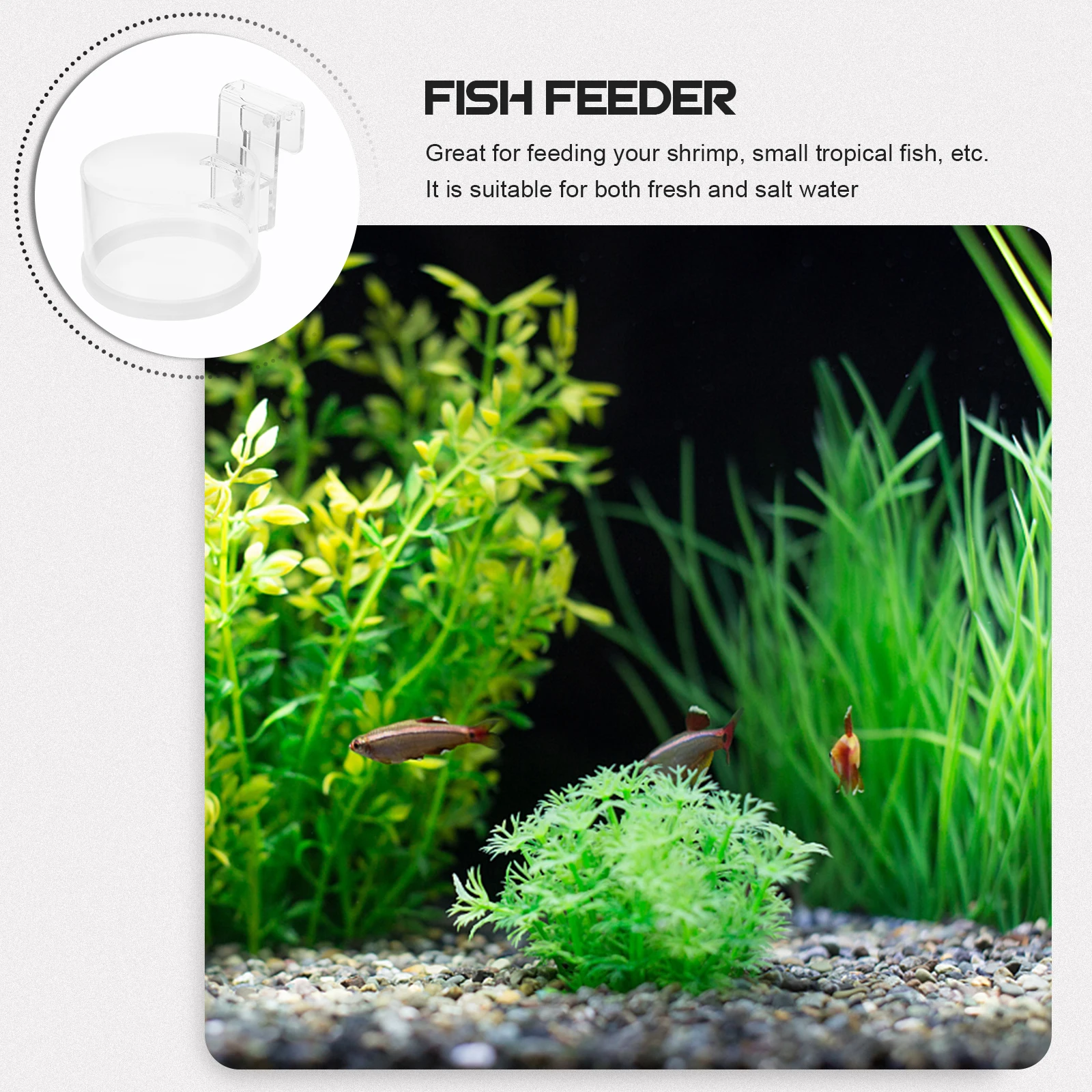 

Fish Feeding Ring Aquarium Circle Acrylic Feeder Bowl Prevent Waste Flake Foods Long Use Practical Durable Fish Tank Accessories