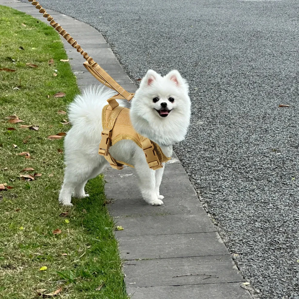 작은 개와 강아지를위한 전술 개 하네스 가죽 끈 세트 고양이와 개를위한 조정 가능한 고양이 조끼 범용 접착 패치