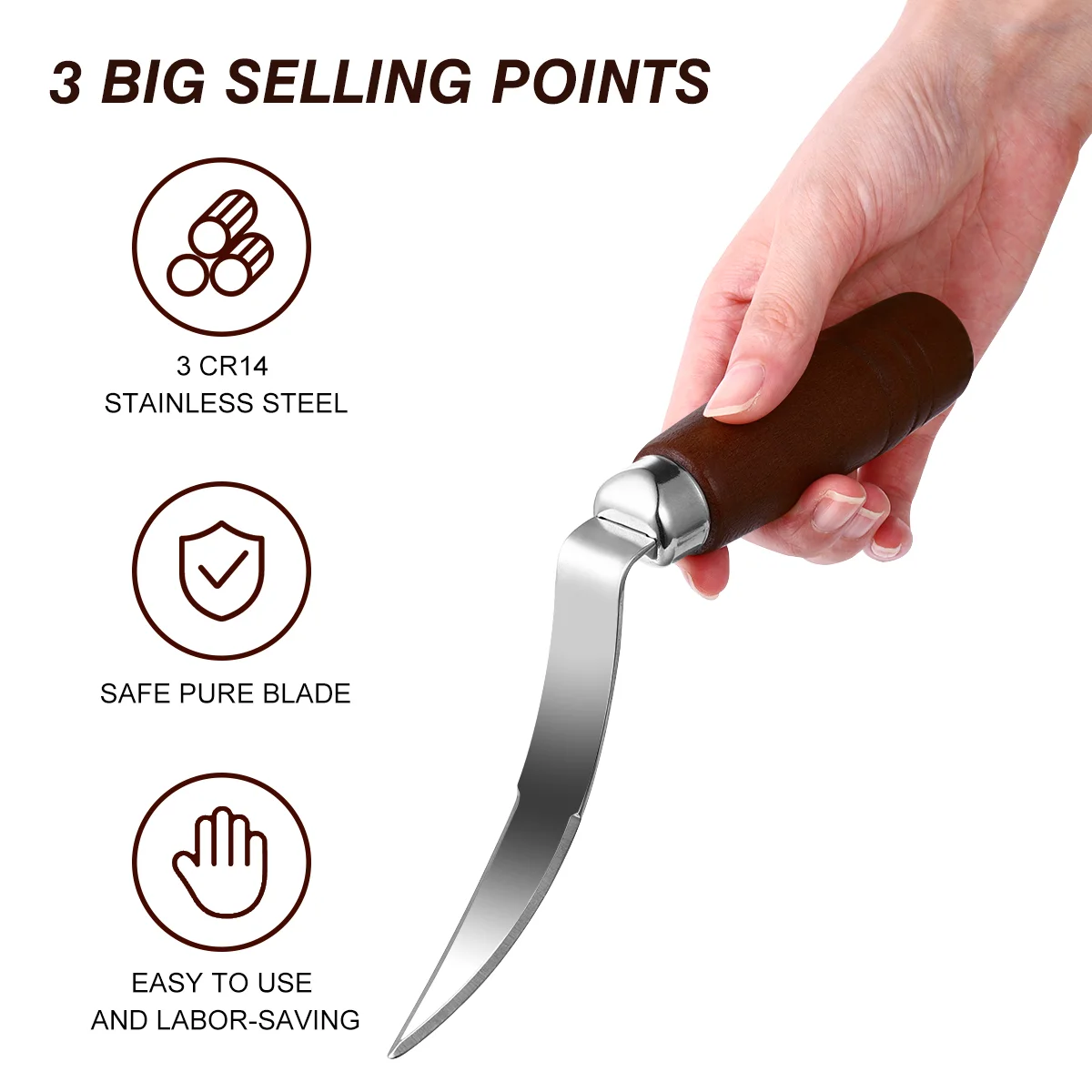 

Kitchen Gadget Package Opener Coconut Meat Remover Stainless Steel Scraper Grape