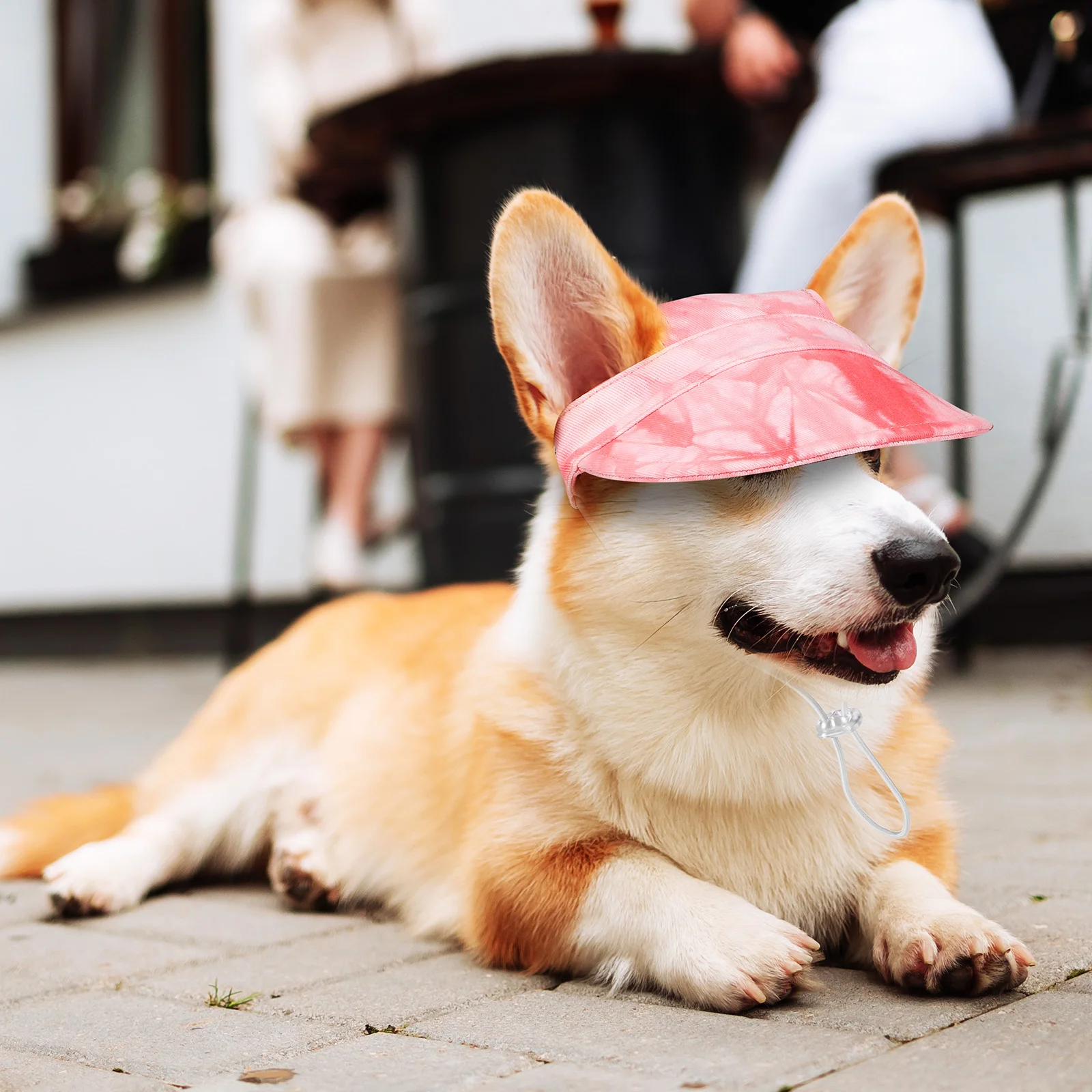 

2pcs Pet Visor Hat Tie Dye Sun Protection Dog Baseball Cap Adjustable Strap Wide Brim Cotton Material For Outdoor Travel Dog Hat