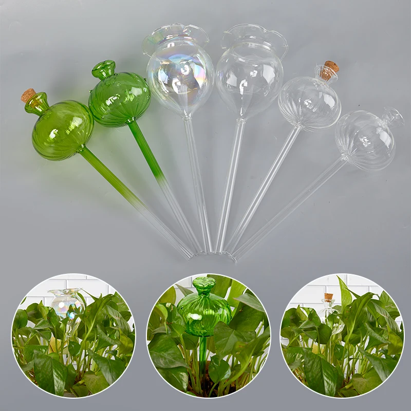 

Multicolor Transparent Glass Cactus Design Plant Watering Plant Flowers Water Feeder Self Watering Device Home Garden Supplies