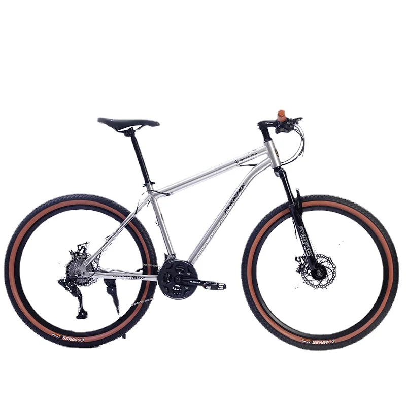 ZL Mountain Bike Road Wagon Bicycle Female Blueprint Variable Speed Recreational Bicycle