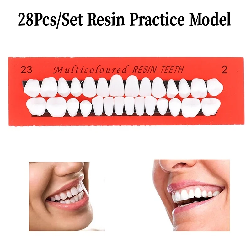 

28Pcs/Set Dental tools Universal Resin False Teeth Teaching Model Dental Material Teeth