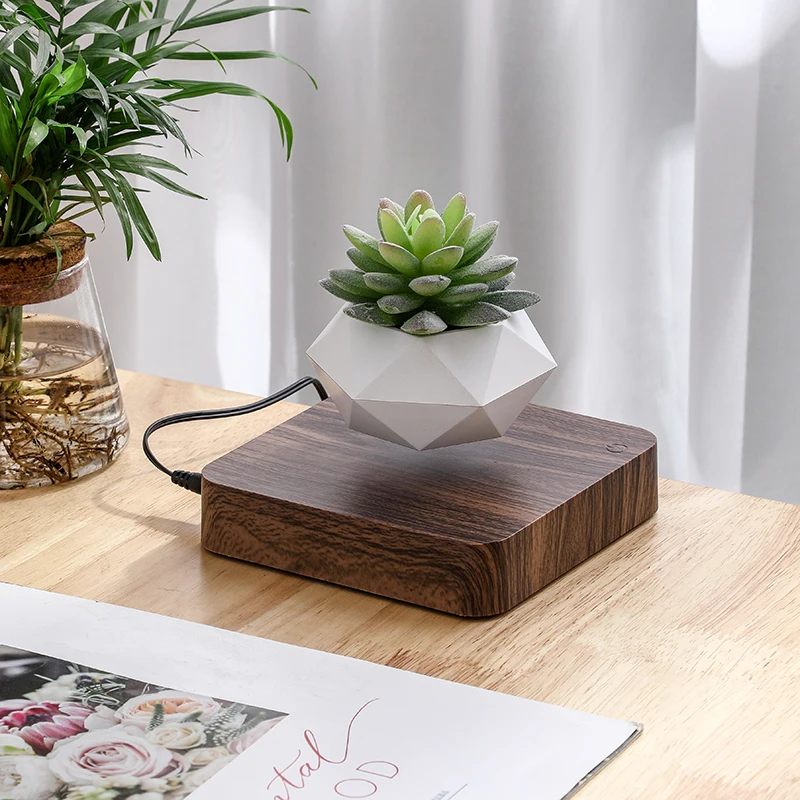 Floating Plant Pot Levitating Plant Pot for Succulents air Bonsai Plants Floating Planter for Home Office Desk Levitating Decor