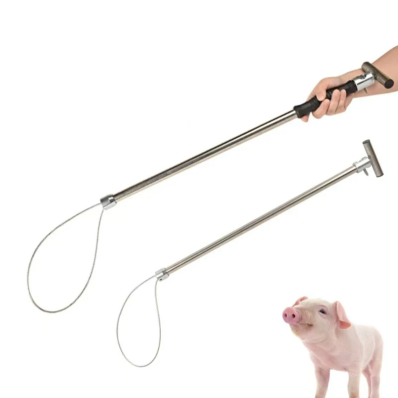 1 Pcs Stainless Steel Wire Catching Pig Lasso Baoding Pig Head Grab Pig Device Pig Equipment Convenient Safety Copper Handle