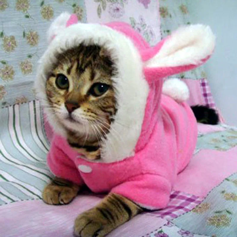 Pet Cat Clothes Mascotas Costume Clothes For Pet Hoodies Cute Rabbit Cat Clothing Puppy Fleece Warm Pet Cat Jacket Outfit 35 A1