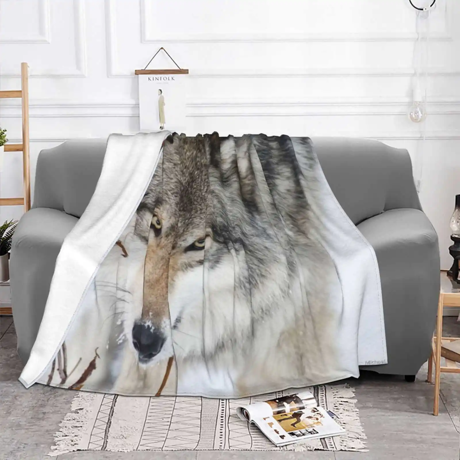 Timber Wolf Latest Super Soft Warm Light Thin Blanket Timber Wolf Pics Timber Wolf Pictures Timber Wolf Images Wolf Photographs