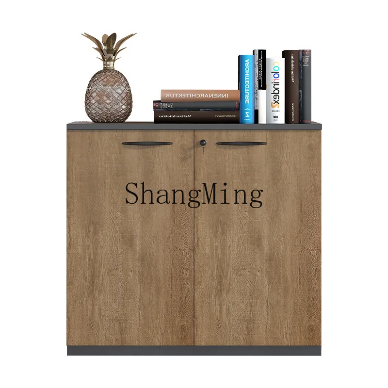 DSA Conference Room Office Office Document Partition Cabinet Locked Storage Printer Cabinet