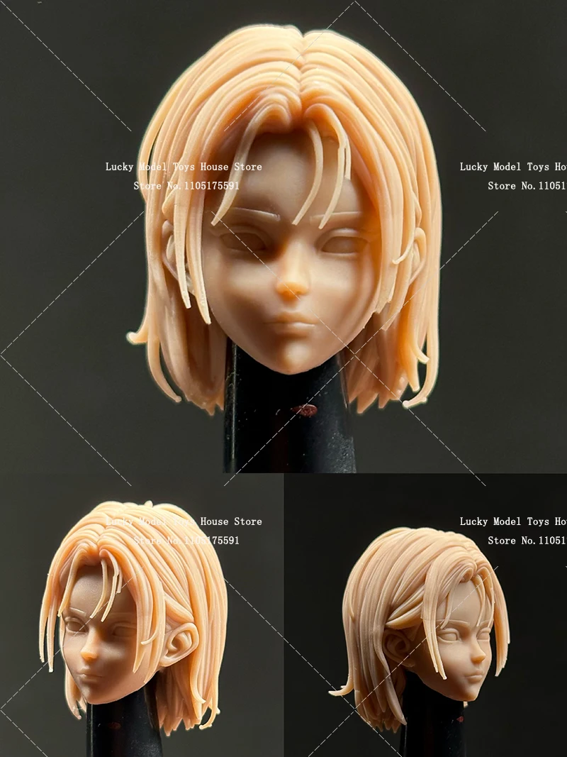 1/12 Beauty Girl Ala 18 Hollow - Model Kit Aoshima recensie en prijs
