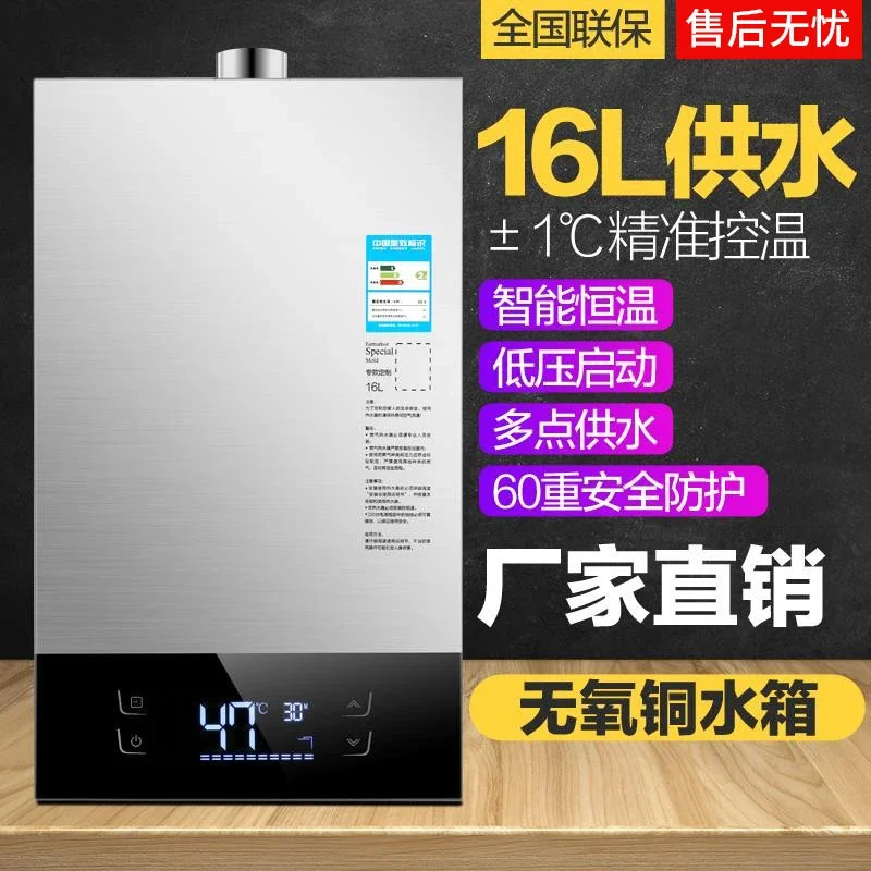 Gas water heater electric household natural   liquefaction gas strong exhaust constant temperature variable frequency bath