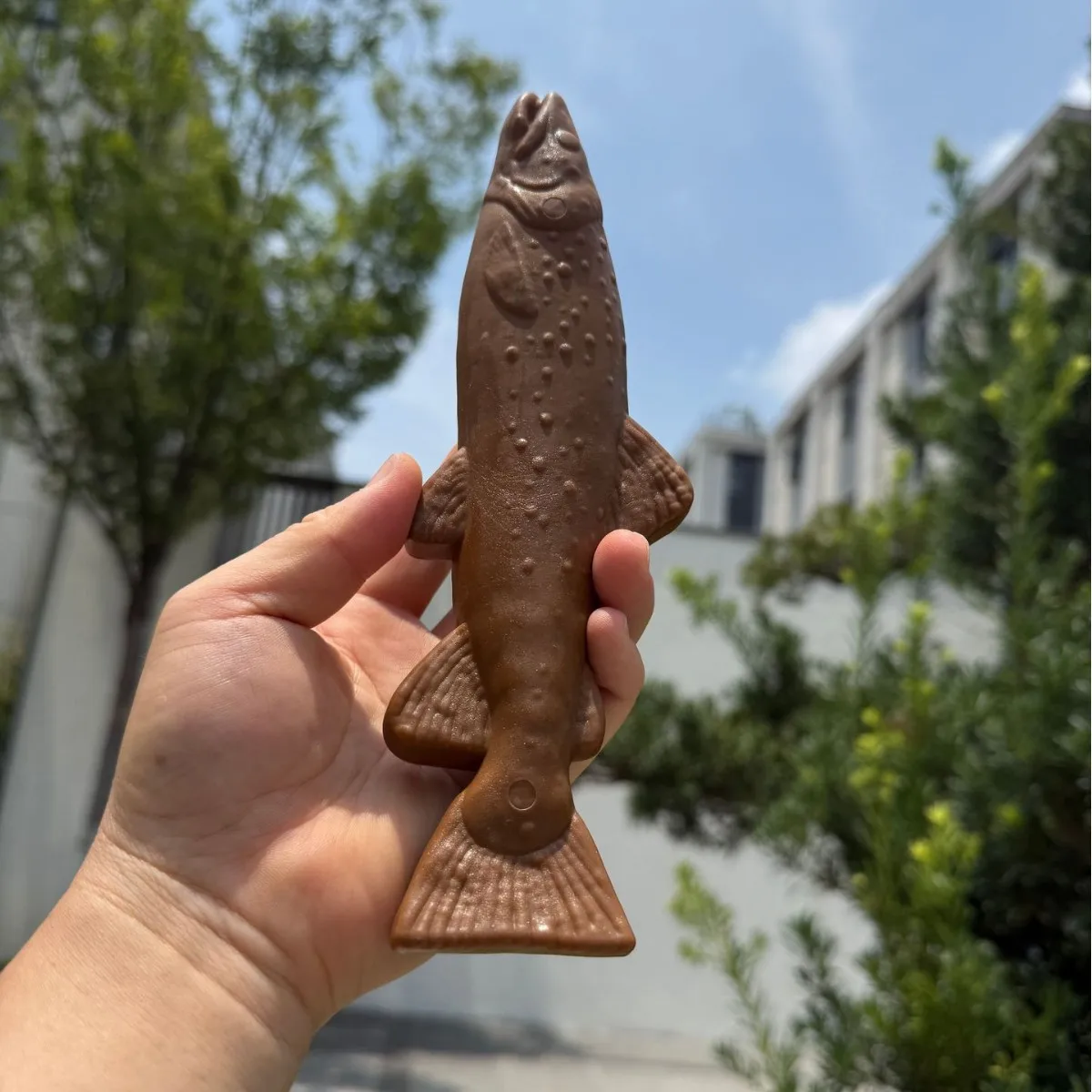 لعبة مضغ مركبة من الخشب والبلاستيك للكلاب الكبيرة - عظم تنظيف الأسنان غير القابل للتدمير لأسلالات ألاسكا