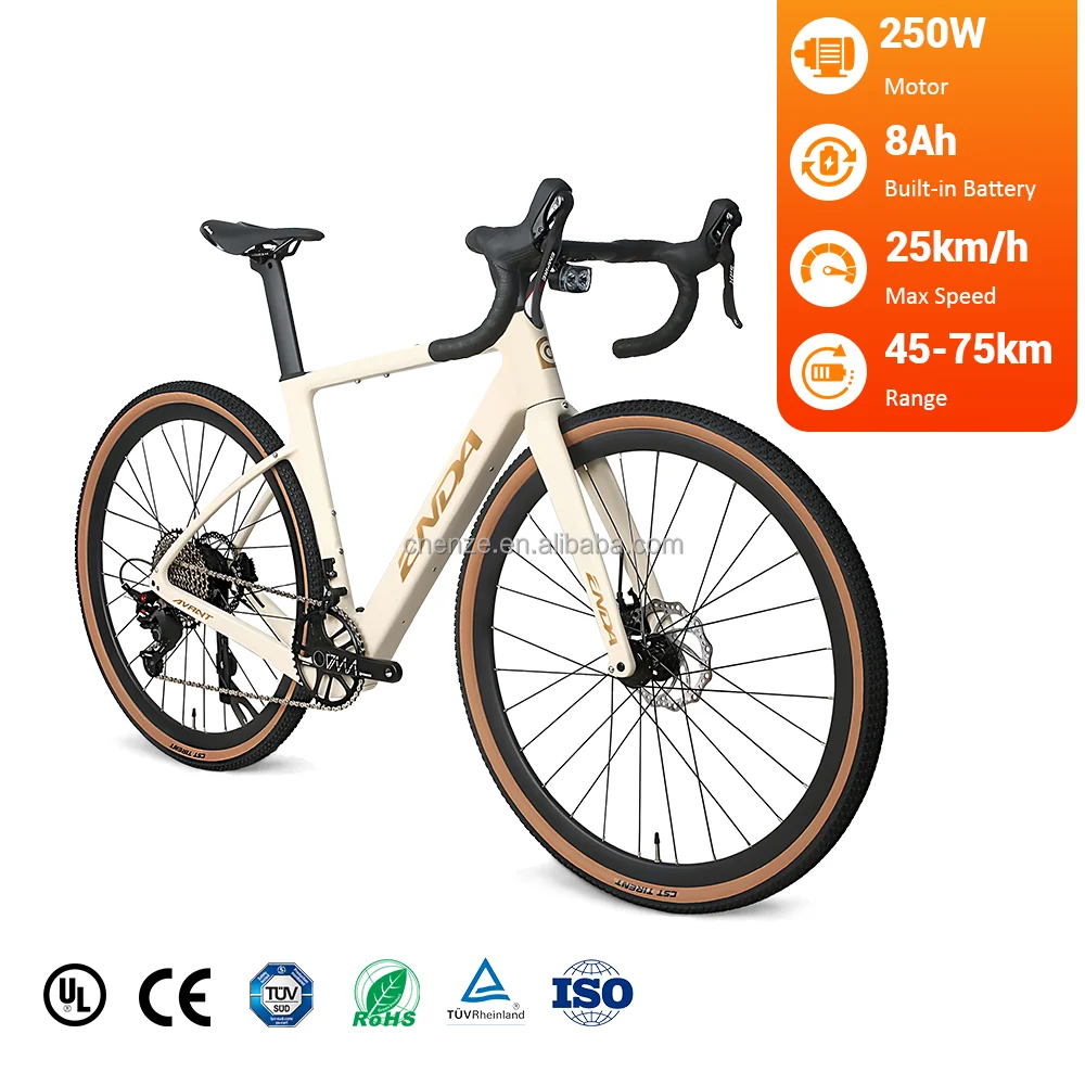

Carbon Fiber Electric Road Bike 10 Speed Rear Hub Motor Brushless Lithium Battery Lightweight Hydraulic Disc Brake LCD Display