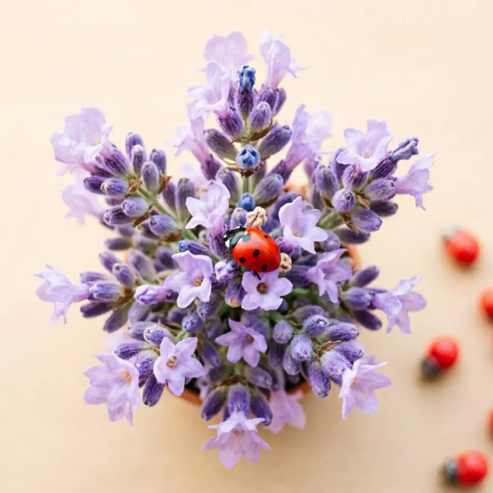 Durable Tiny Figurines Miniature Figurine 10 Pcs Miniature Ladybug Figurines Set Tiny Ladybug Statues for Fairy Garden Decor