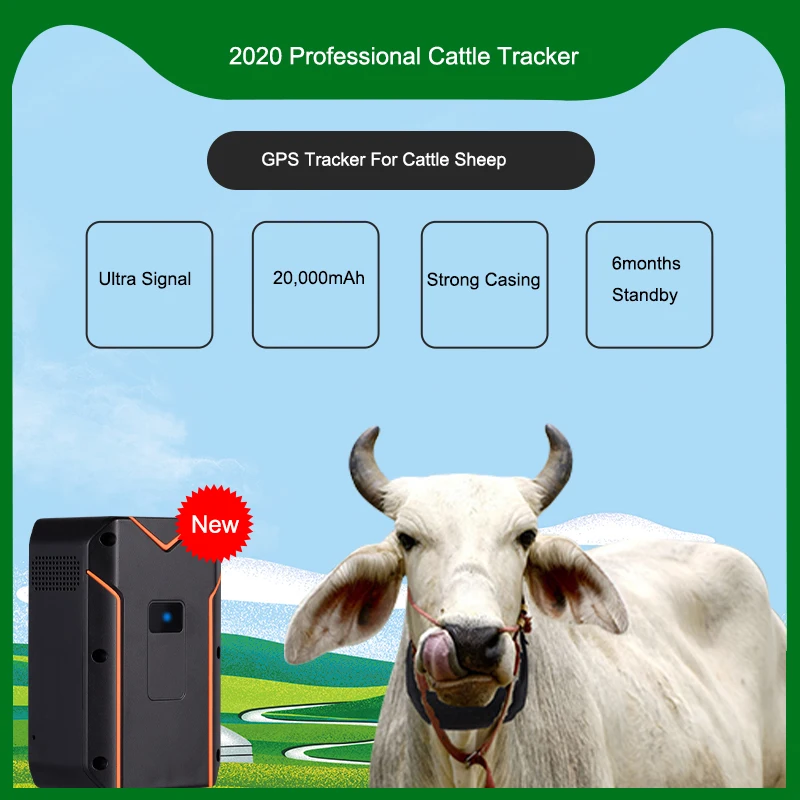 nb-iot solar power gps tracking tracker device for cattle cow sheep