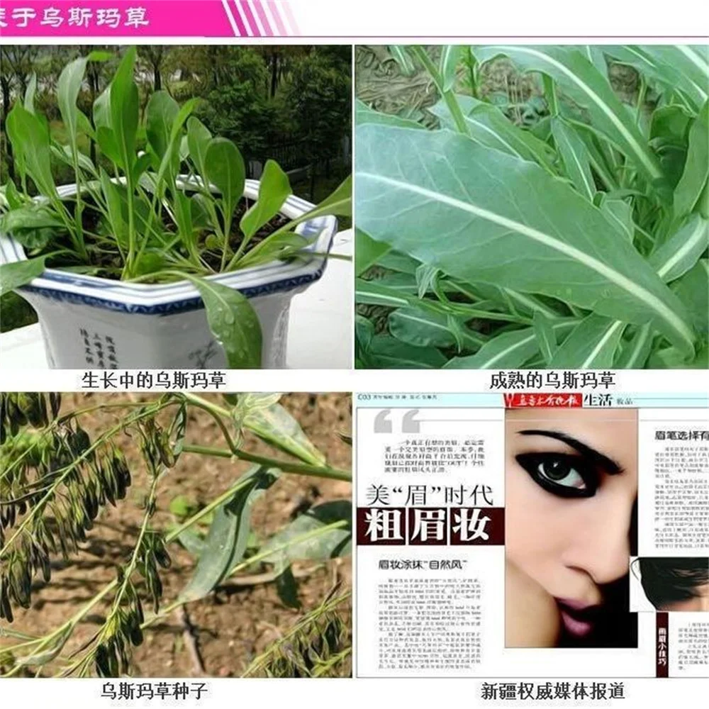 Usman Pure Grass Powder Usma Green Plant Anti-loss Nourishing Hair Root Hair Follicle Hairline Thick Eyebrows Eyelashes Makeup