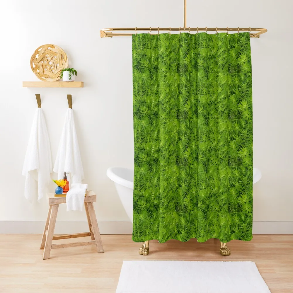 

Fern Shower Curtain Waterproof Bathroom Shower Bathroom Shower Set For Bathrooms For Bathrooms Curtain
