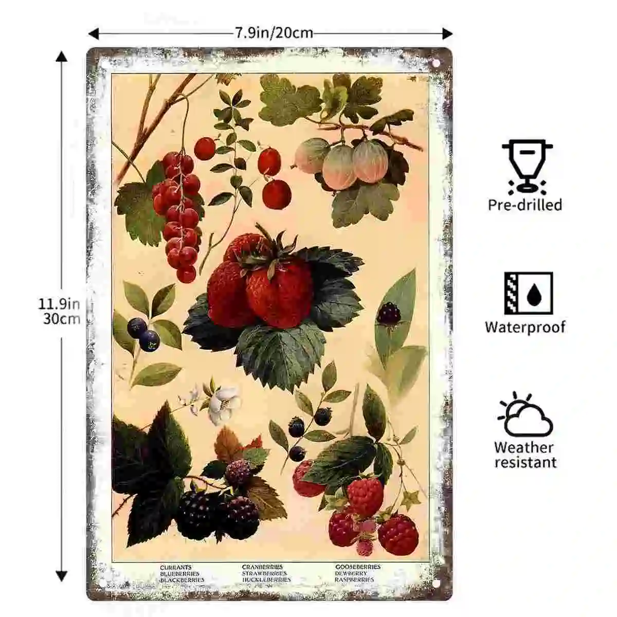 2D FLAT 1pc Vintage Fruit and Berry Botanical Wall Poster Decoration for Home Cafe Kitchen Bedroom Porch And Garden view 2