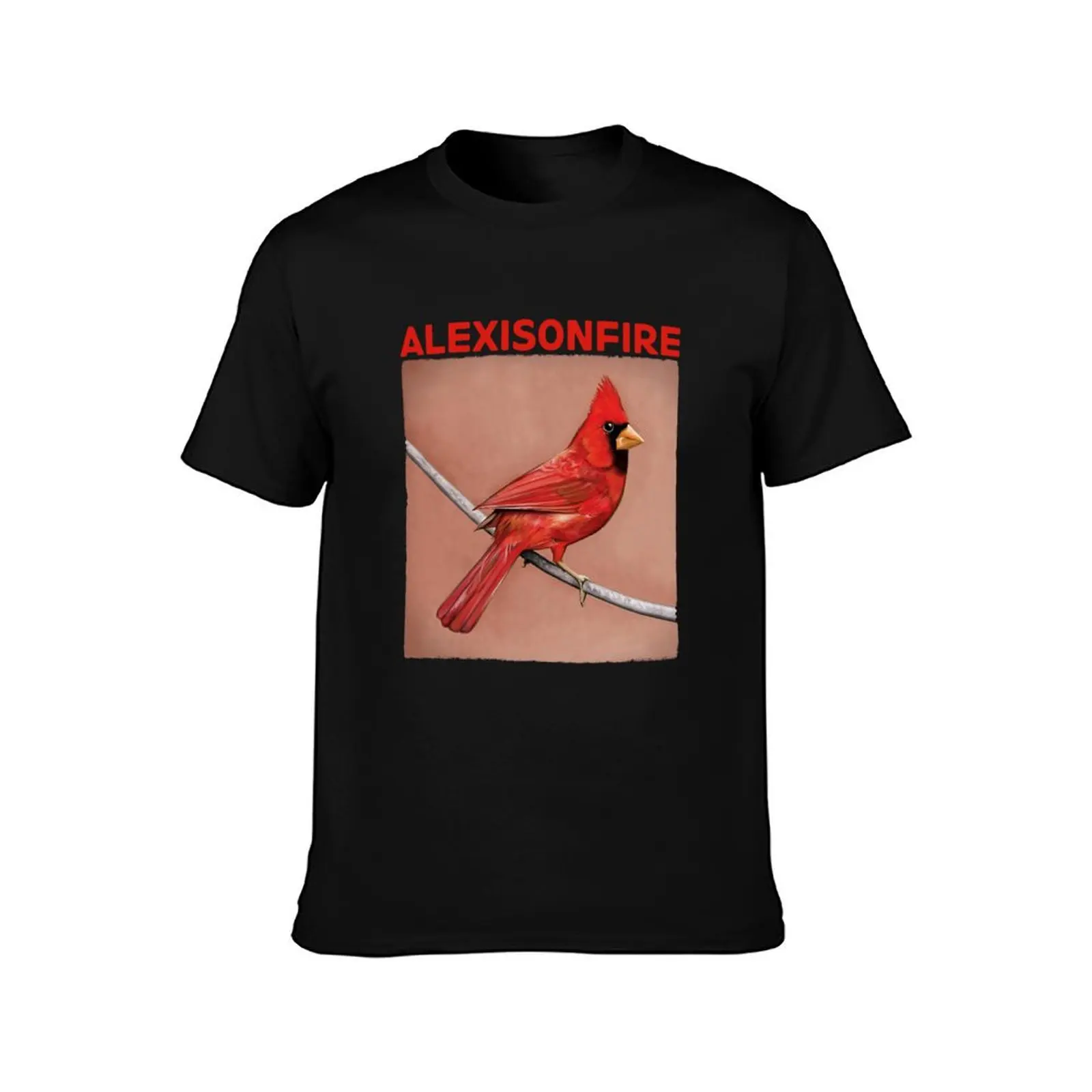Attract Attention Most Loved Music Alexisonfire Old Crows Young Cardinals Gifts T-Shirt