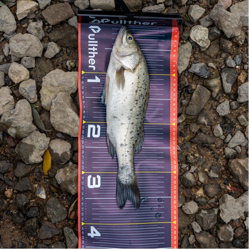 Pullther Wasserdichtes Fisch-Messlineal 135cm Faltbares PVC-Fisch-Messband Aufkleber Angelzubehör Tackle-Werkzeug – Detail 7