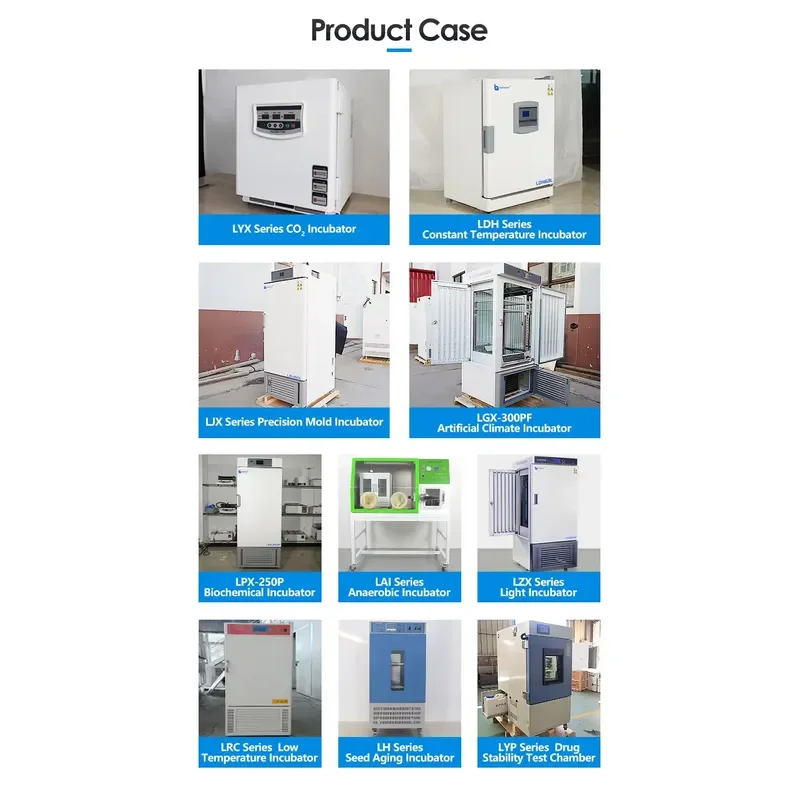 for  High Performance Constant Temperature Incubator Comprehensive Stability Chamber 0-65C 20-95%RH Control LHH-150GSD