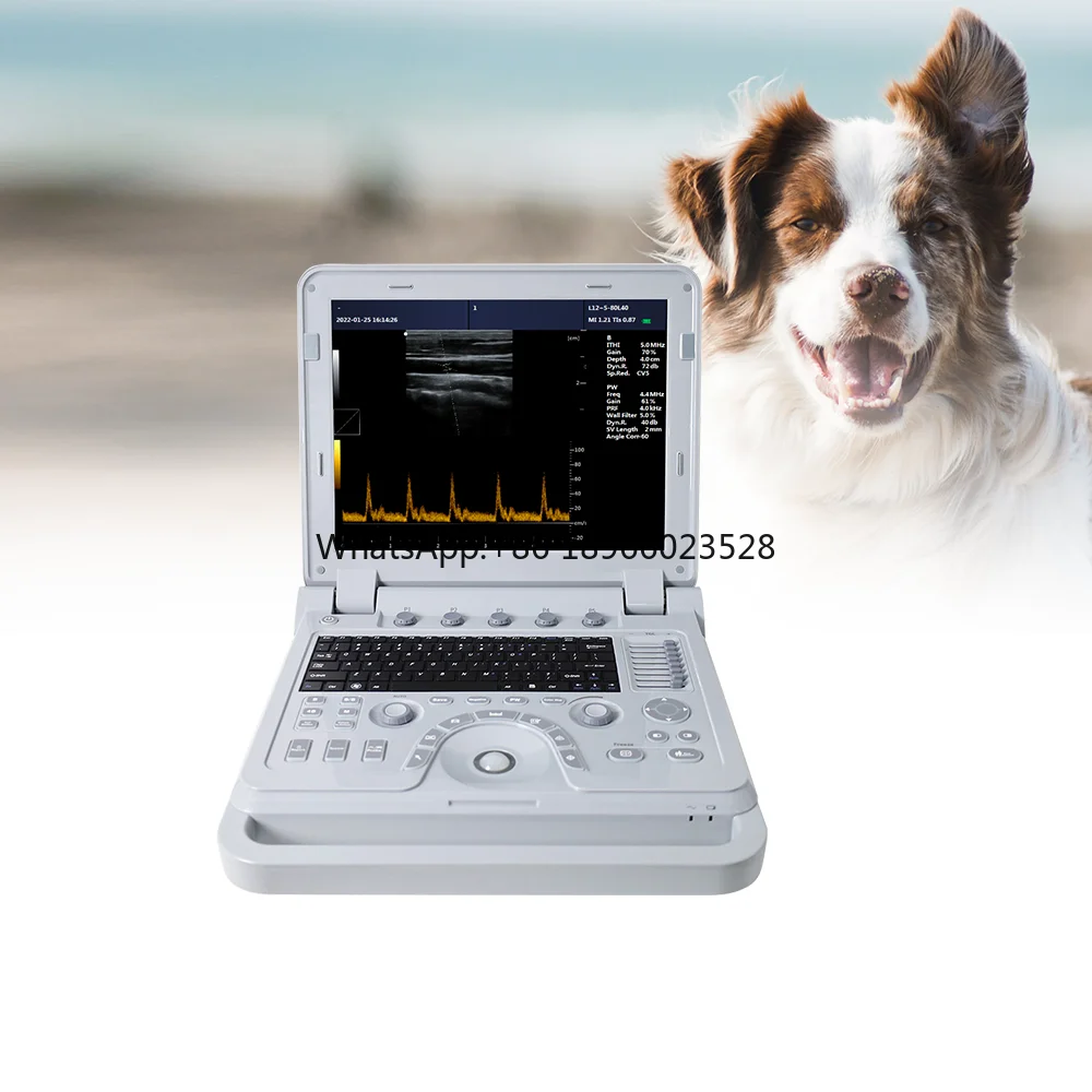 high performance CMS1700A-VET Portable Veterinary Ultrasound With Probes color Ultrasound Scanners animals