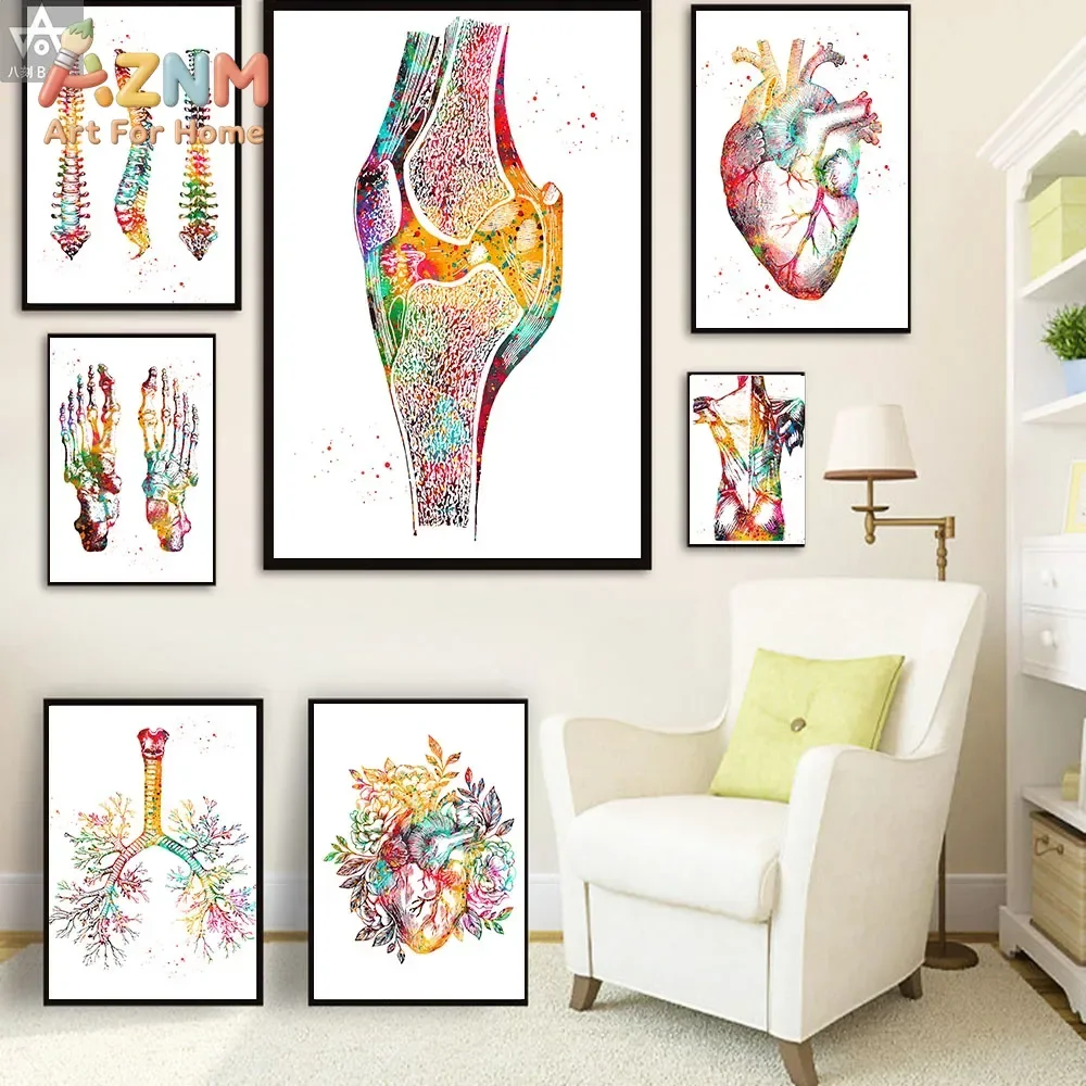AZNM Human Anatomy Canvas Wall Art Colorful Skeleton Heart Lung Knee Medical Art Poster Clinic Unframed Canvas Home Decor Painti