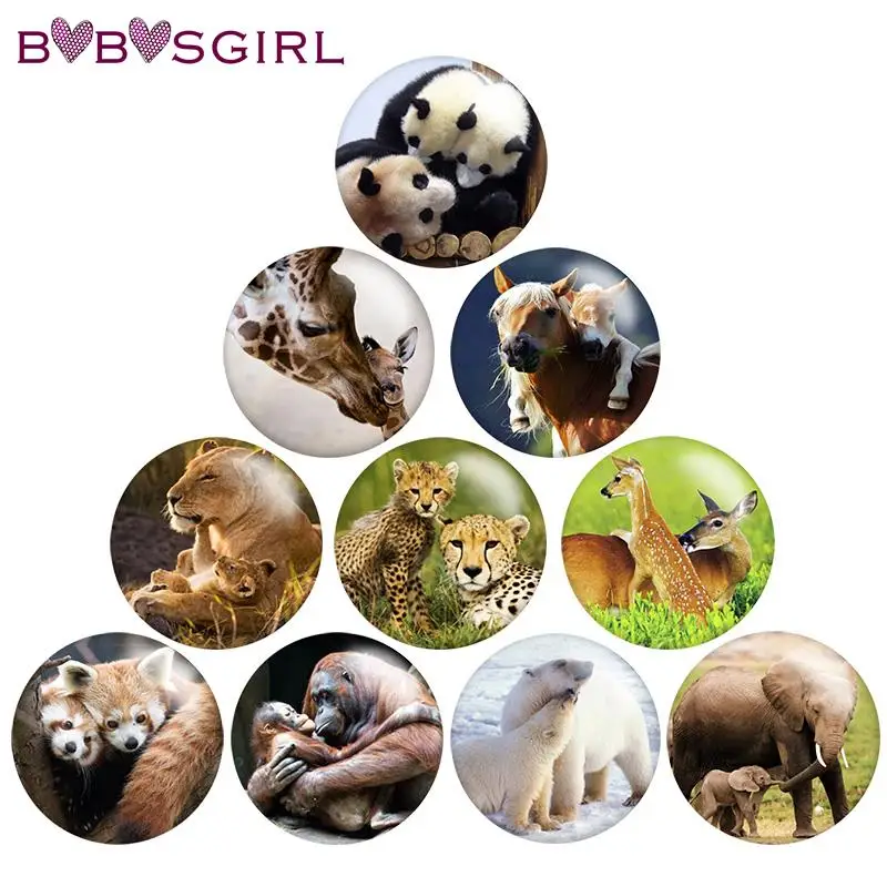 Animal snap charms wholesale Round Photo Glass Cabochon 12mm 18mm 20mm   DIY Snap Button NN3851