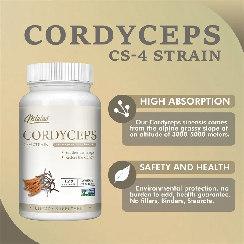 

Cordyceps - Provides Overall Stamina and Energy Support, Immune SupportCapsule